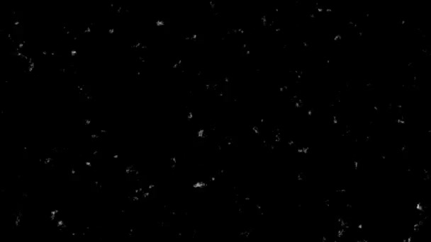스크래치 오버레이 스크래치 스크래치 오버레이 애니메이션의 비디오 그런지 스크래치 — 비디오