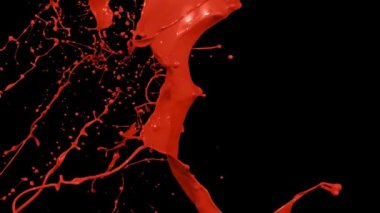 Yavaş çekimde atılmış boya sıçraması, siyah üzerine izole edilmiş sıvı (4K)