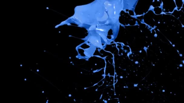 Брызги Краски Брошены Замедленной Съемке Жидкость Изолирована Черном — стоковое видео