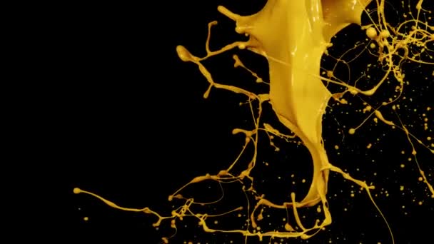 Paint Splash Thrown Slow Motion Liquid Isolated Black — Stock Video