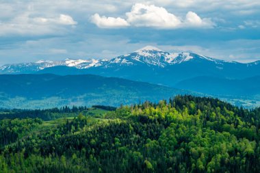 view in to the valley. summer landscape of carpatian mountains. sunny day with clouds on the sky. travel and tourism concept