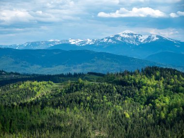 Vadinin manzarası. Karpatya dağlarının yaz manzarası. Gökyüzünde bulutlarla güneşli bir gün. seyahat ve turizm kavramı