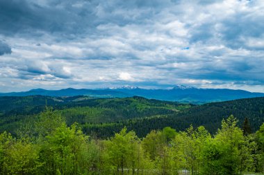 Vadinin manzarası. Karpatya dağlarının yaz manzarası. Gökyüzünde bulutlarla güneşli bir gün. seyahat ve turizm kavramı