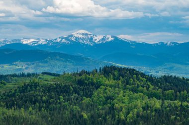 Vadinin manzarası. Karpatya dağlarının yaz manzarası. Gökyüzünde bulutlarla güneşli bir gün. seyahat ve turizm kavramı