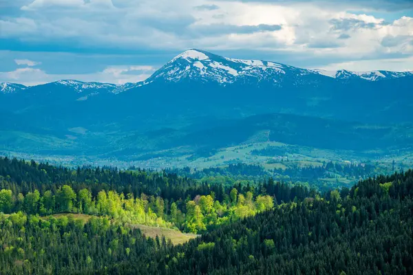 Vadinin manzarası. Karpatya dağlarının yaz manzarası. Gökyüzünde bulutlarla güneşli bir gün. seyahat ve turizm kavramı