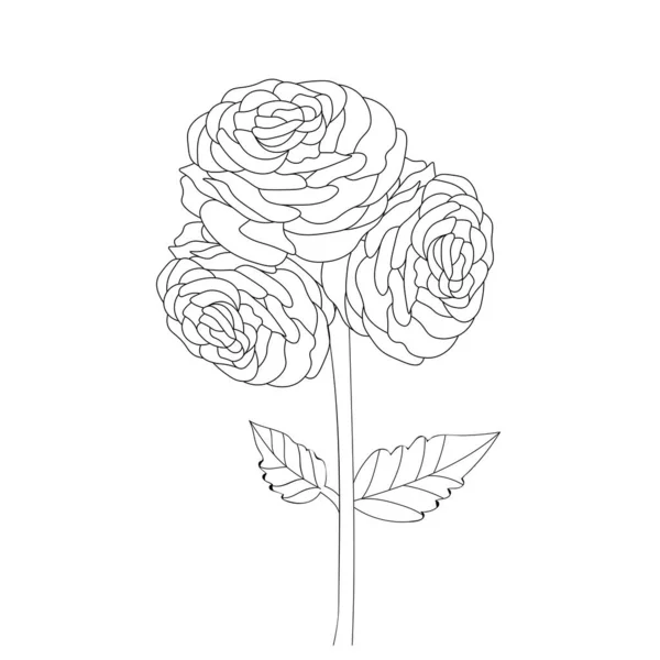 Kézzel Rajzolt Ranunculus Virág Csokor Vektor Vázlat Illusztráció Vésett Tinta — Stock Vector