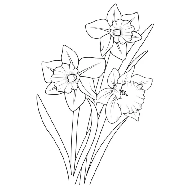 Malseite Malbuch Isolierte Narzissenblume Handgezeichnete Vektorskizze Illustration Botanische Sammlung Zweig — Stockvektor