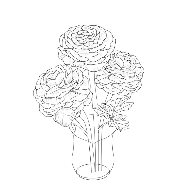 Buttercup Ranunculus Flower Set 배경에 구별되는 꽃이다 낙서와 Zentangle 스타일 — 스톡 벡터