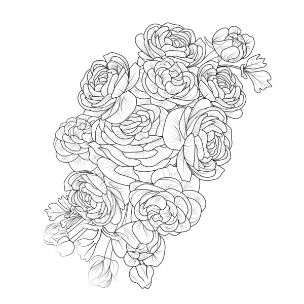 大人と子供のための黒と白のアウトラインベクトルの着色本のページ葉の芽手描きの花とハイビスカスの花 白の背景イラストに孤立バターカップ ランヌクルスの花 — ストックベクタ