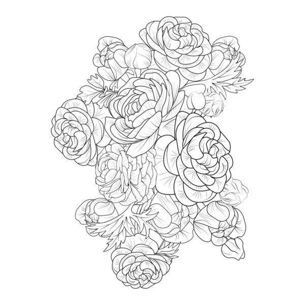 Illustration Buttercup Fleur Ranunculus Croquis Vectoriel Art Crayon Bouquet Coloriage — Image vectorielle