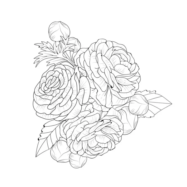 バターカップ ランキュラスの花 ベクトルスケッチ鉛筆アート 花束の花の着色ページ および白の背景クリップに隔離された本のイラスト — ストックベクタ