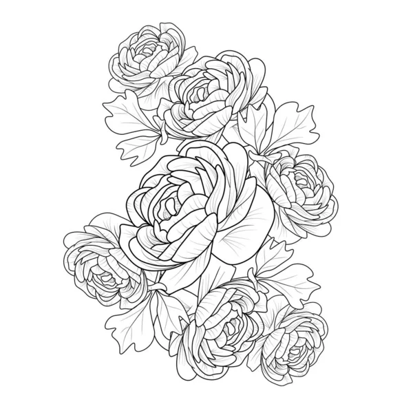 Izolovaný Máselník Ranunkulus Květinový Ručně Kreslený Vektorový Náčrt Ilustrace Botanická — Stockový vektor