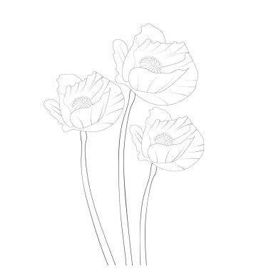 Çok güzel bir el yapımı vektör çizimi. Çiçek. Haşhaş. Çiçekler, siyah ve bej renkler, beyaz arkaplan boyama kitabında izole edilmiş resimler