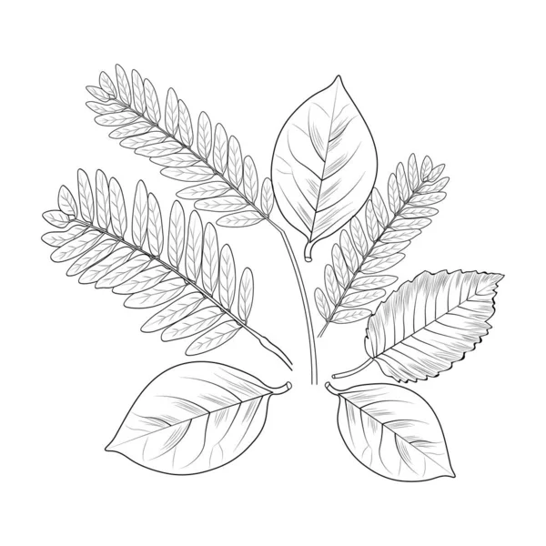Φύλλα Εικονίδιο Φυτό Διανυσματική Απεικόνιση Σχεδιασμό — Διανυσματικό Αρχείο