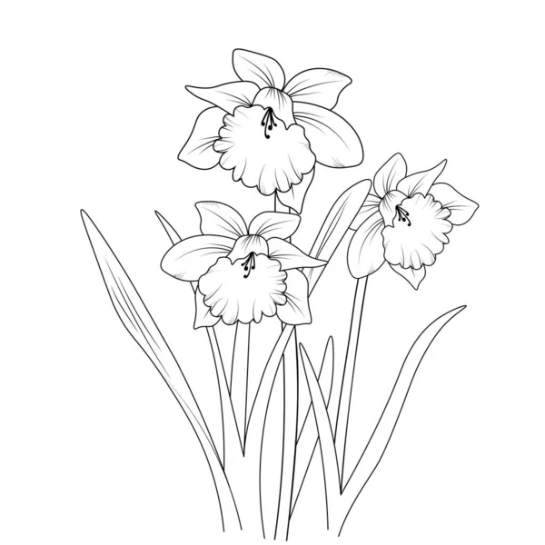 Ilustrace Narcisované Květiny Vektorové Kresby Tužka Umění Kytice Květinové Zbarvení — Stockový vektor