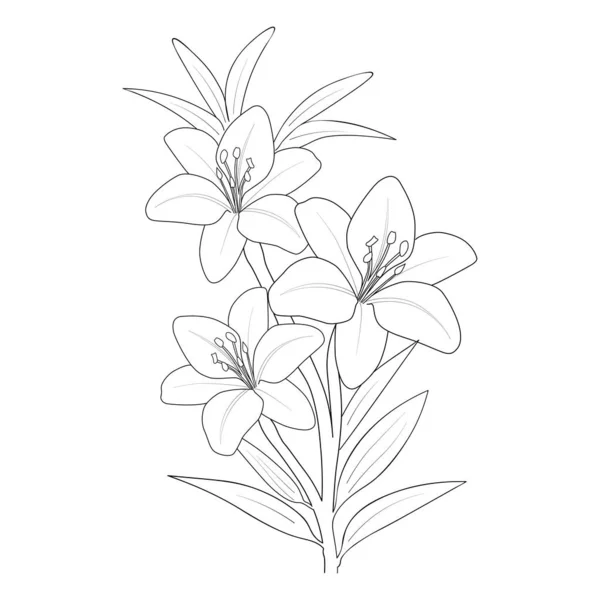 Illustration Fleur Lys Croquis Gravé Main Vectoriel Art Fleur Fleurs — Image vectorielle