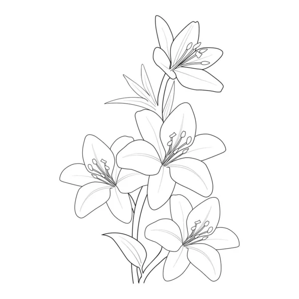 Vector Illustration Magnolia Flowers — Stock Vector