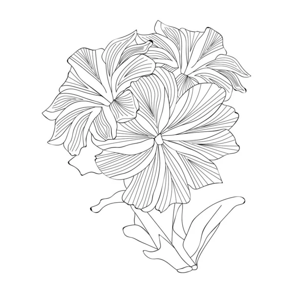 Vektor Vázlat Virág Papír Stílusban Gyönyörű Virágok Virágillusztráció Izolált Virágos — Stock Vector