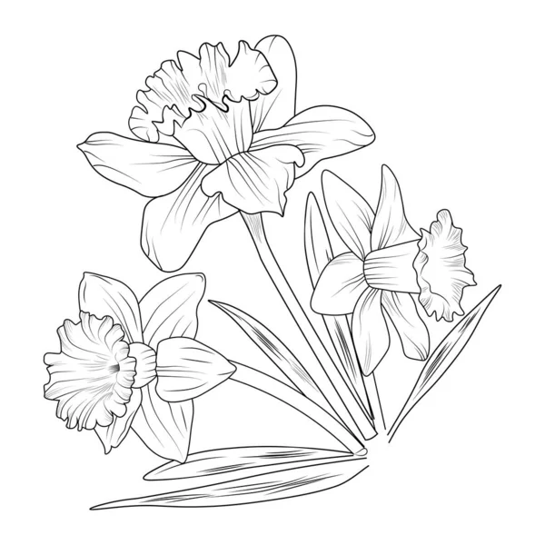 Conjunto Uma Flor Decorativa Estilizada Isolado Fundo Branco Ilustração Vetorial — Vetor de Stock