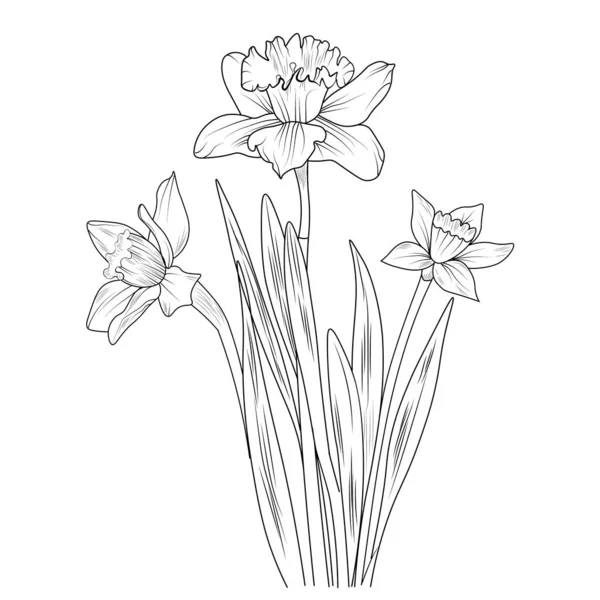 Wektor Ilustracja Pięknego Kwiatu Bukietem Rumianku Kwiaty Liście — Wektor stockowy
