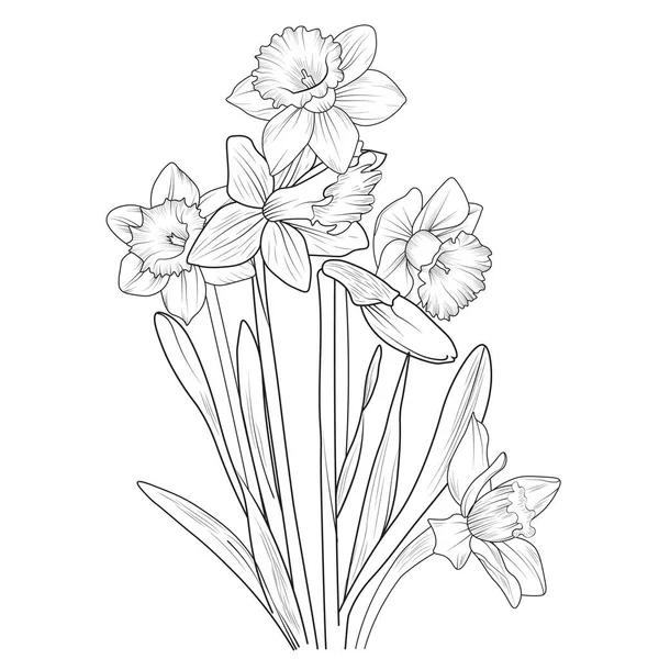 美しい植物の背景のベクトルイラスト 人形の花の枝手描きベクトルイラストヴィンテージデザイン要素花束花の自然なコレクション 白地に隔離し — ストックベクタ