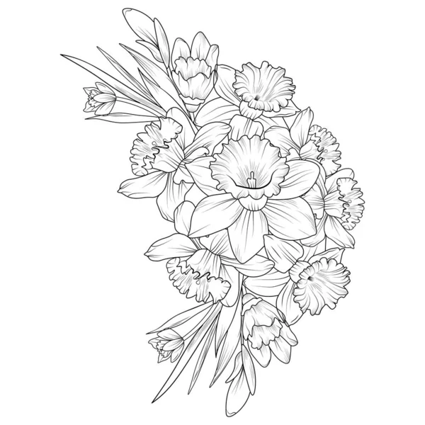 一个美丽的水仙花花束的矢量图解 一本手工绘制的彩色艺术书籍 花朵水仙花从白色背景中分离出来 为成虫描绘艺术叶枝植物的藏品 — 图库矢量图片