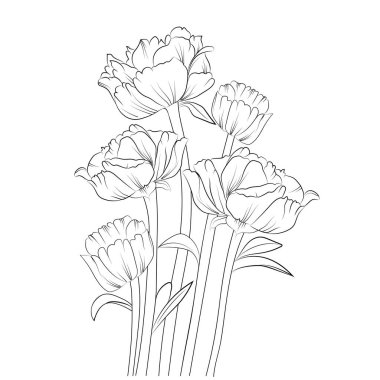 Beyaz, şakayık çiçek tomurcukları, eskiz sanatı, boyama kitabı üzerine izole edilmiş vektör çizimi.
