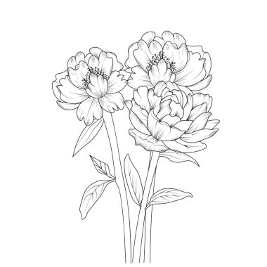 Şakayık çiçeği kalem sanatı, vektör çizimi, çiçek botanik deseni, çiçek, tek renkli çizim izole edilmiş..