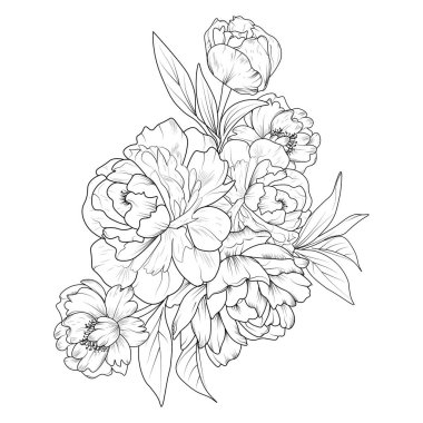 Şakayık çiçekli çizim, çiçek çizimi, klasik çiçek çerçevesinin vektör çizimi, boyama kitabı ve sayfalar..