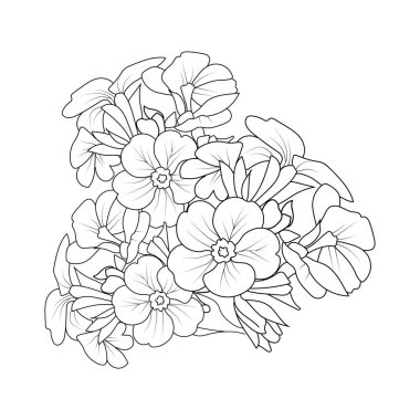 Çuha çiçeği demeti, el çizimi çiçek deseni. güzel çiçek arkaplan elementi dövmesi.