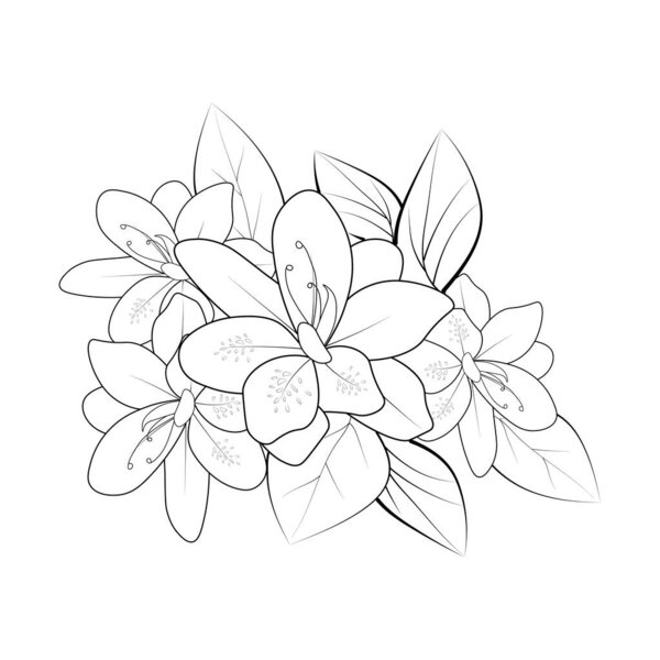 Azalea flower bouquet of hand-drawn line drawing with exotic flowers and leaves coloring book and page.