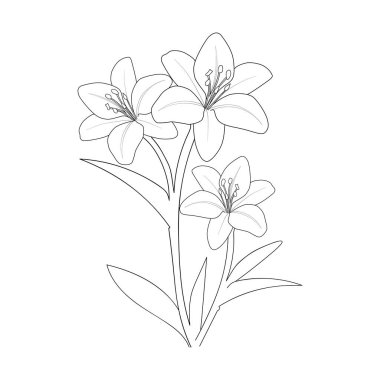 Güzel bir botanik bahçesi çiçeğinin vektör çizimi