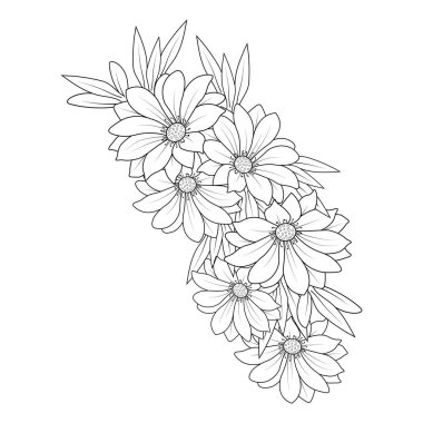 monochrome vector hand-drawn daisy floral pattern on white background with flowers and leaves. spring flower illustration, Floral background seamless isolate daisy flower vector sketch clip art.