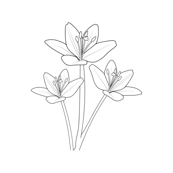 Lily Flower Lovely Vector Illustration Bird Flowers Florals Floral Ornament — 스톡 벡터
