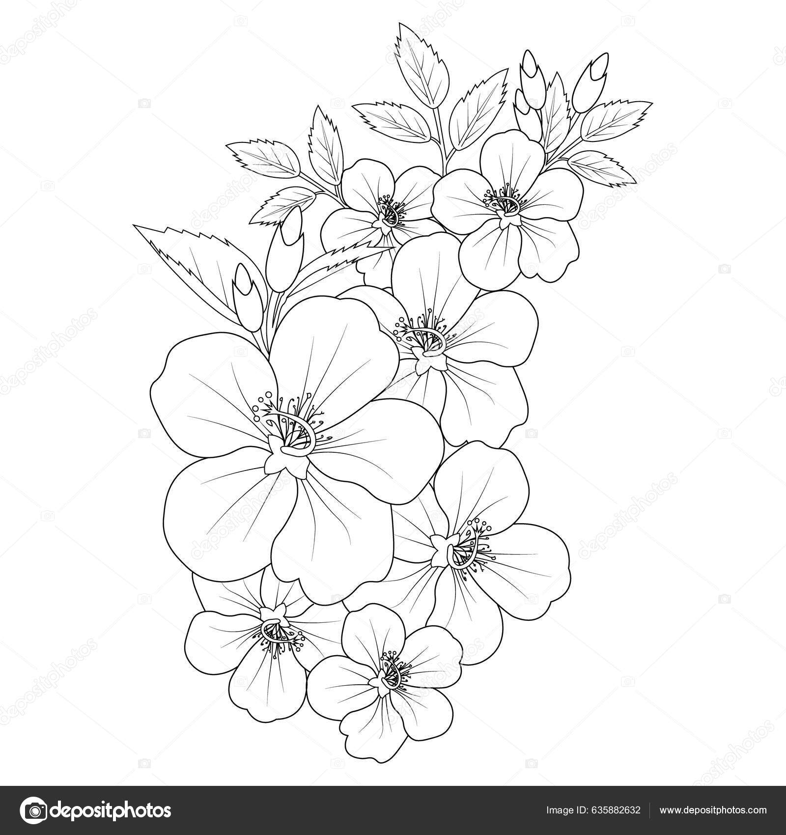 Hibiscus Flower Drawing Hand Draw Flower Vase Illustration Vector Sketch Vector Gráfico 5095