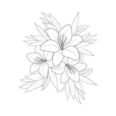 lily flower drawing vector illustration hand drawn illustration artistic, simplicity coloring page isolated in white backgroundvector illustration of beautiful flowers. decorative element for design