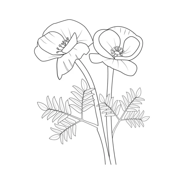 Poppy Flower Botanic Leaf Vector Illustration Sketch Hand Drawing Isolated — Διανυσματικό Αρχείο