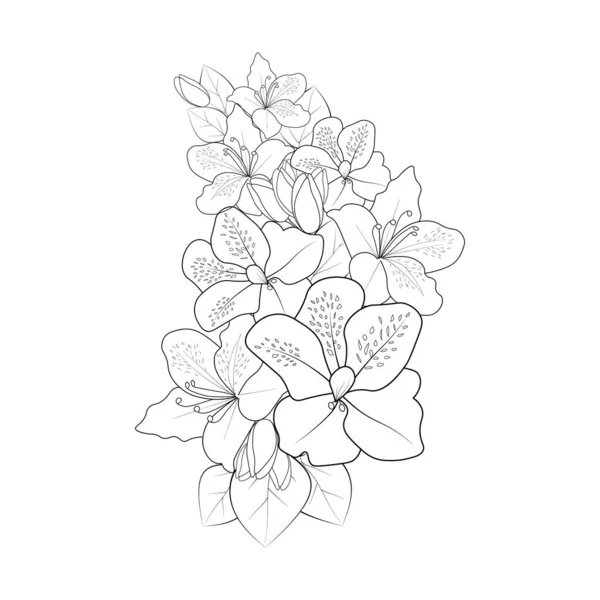 Set Decorative Stylized Azalea Flower Isolated White Background Highly Detailed — Vector de stock