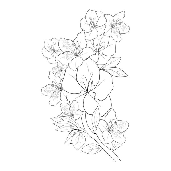 Beautiful botanical floral pattern illustration for coloring book or page, hibiscus, Sharon flower sketch art hand drawn bouquet of floral isolated on white background vector illustration of a beautiful botanical background