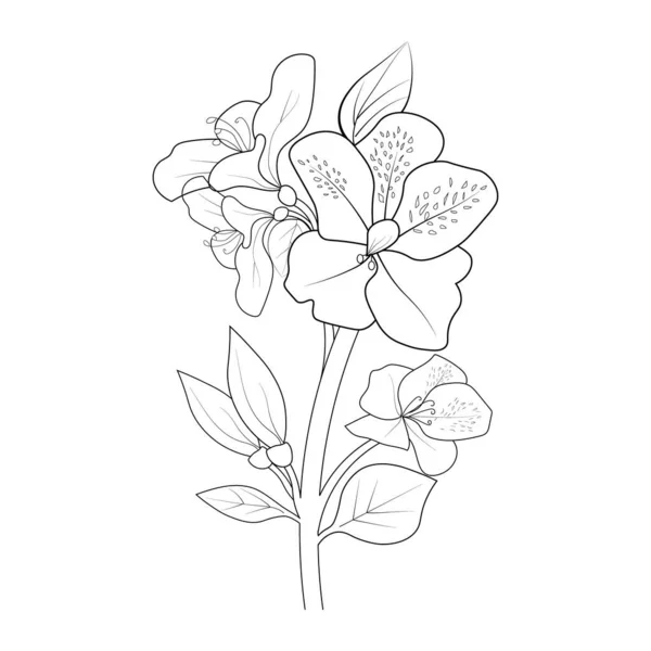Set Decorative Stylized Azalea Flower Isolated White Background Highly Detailed — Vector de stock