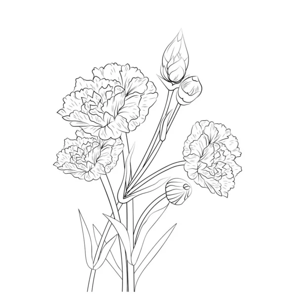 Carnation Flower Bouquet Vector Illustration Beautiful Botanical Background Branch Leaf — Vetor de Stock