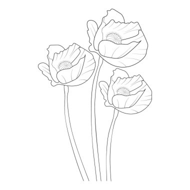 vector illustration of beautiful flowers and leaves, floral elements of wildflowers bouquet.