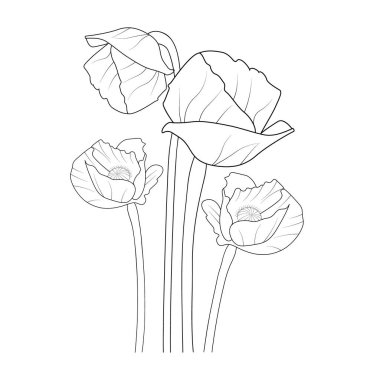 beautiful floral garden with poppy flowers. vector illustration.