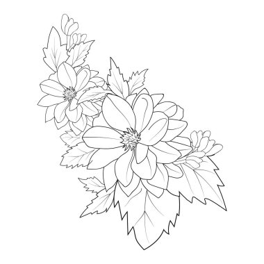dahlia flower coloring pages beautiful flowers and leaves, vector illustration