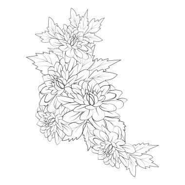 hand-drawn sketch of floral elements with flowers, black and white. vector illustration of dahlia flowers bouquet branch of bud, realistic coloring pages.