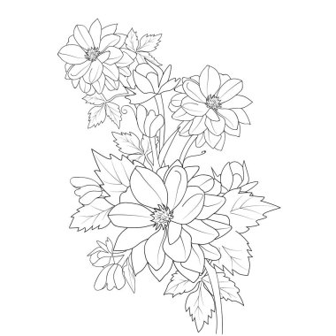 vector illustration for your graphic design. beautiful floral element.blossom dahlia flowers coloring pages botanical collaction,.