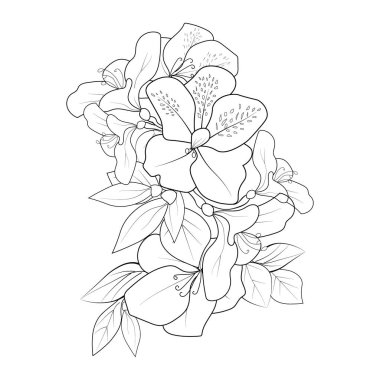 Bouquet of azalea flower hand drawn pencil sketch coloring page and book for adults isolated on white background floral element tattooing, illustration ink art. vector illustration of floral and beautiful flowers.