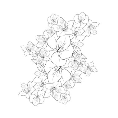Azalea flower drawing vector illustration hand drawn illustration artistic, simplicity coloring page isolated in white background white flower isolated on black. spring flowers. vector floral background.