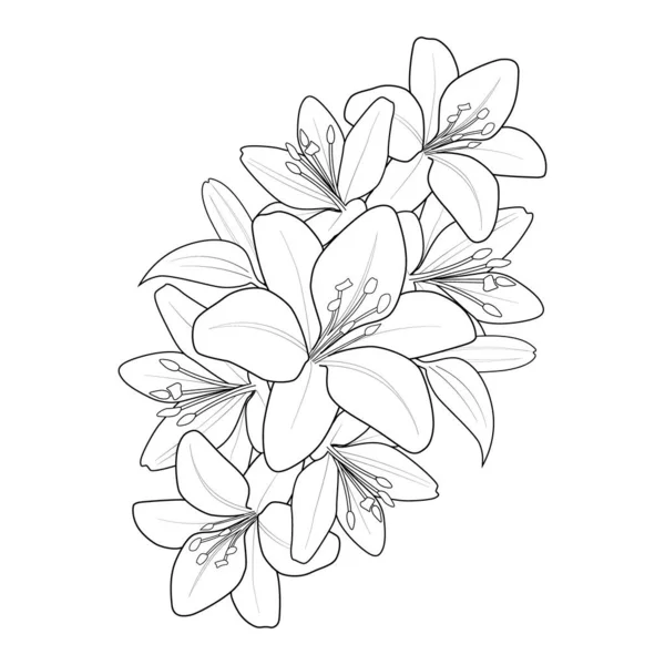 lily flower bouquet of vector seamless pattern, hand drawing flowers, and leaves, botanical illustration, abstract floral element for coloring design-