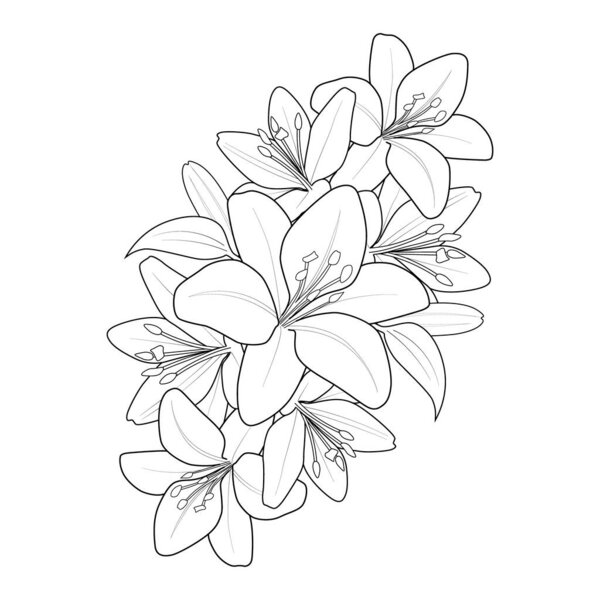 lily flower bouquet of vector seamless pattern, hand drawing flowers, and leaves, botanical illustration, abstract floral element for coloring design-